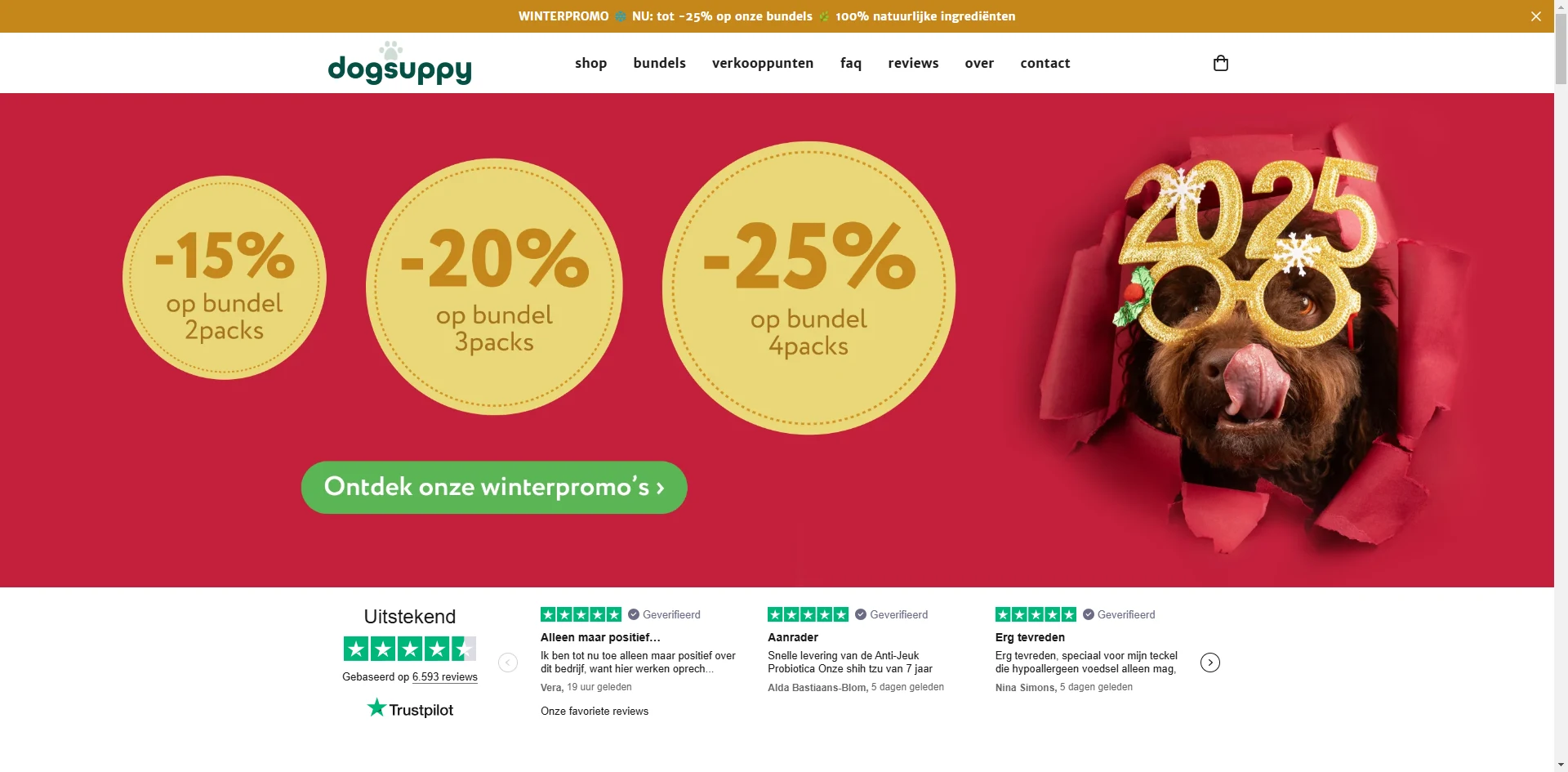 Dogsuppy Homepage Implementation Screenshot