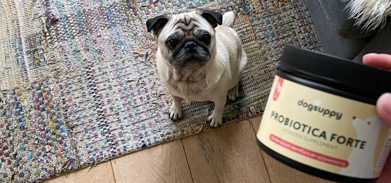 Dogsuppy suppliments Ecommerce Store Case Study