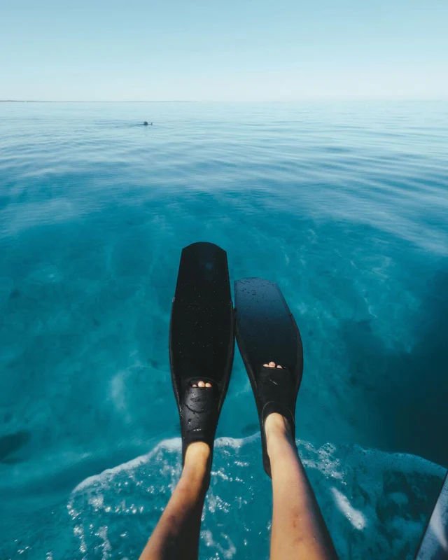 Product Banner Shopify Store Case Study