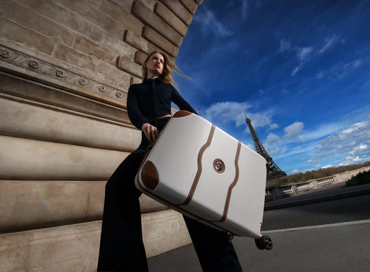 Delsey Collection Banner Image Ecommerce Store Case Study