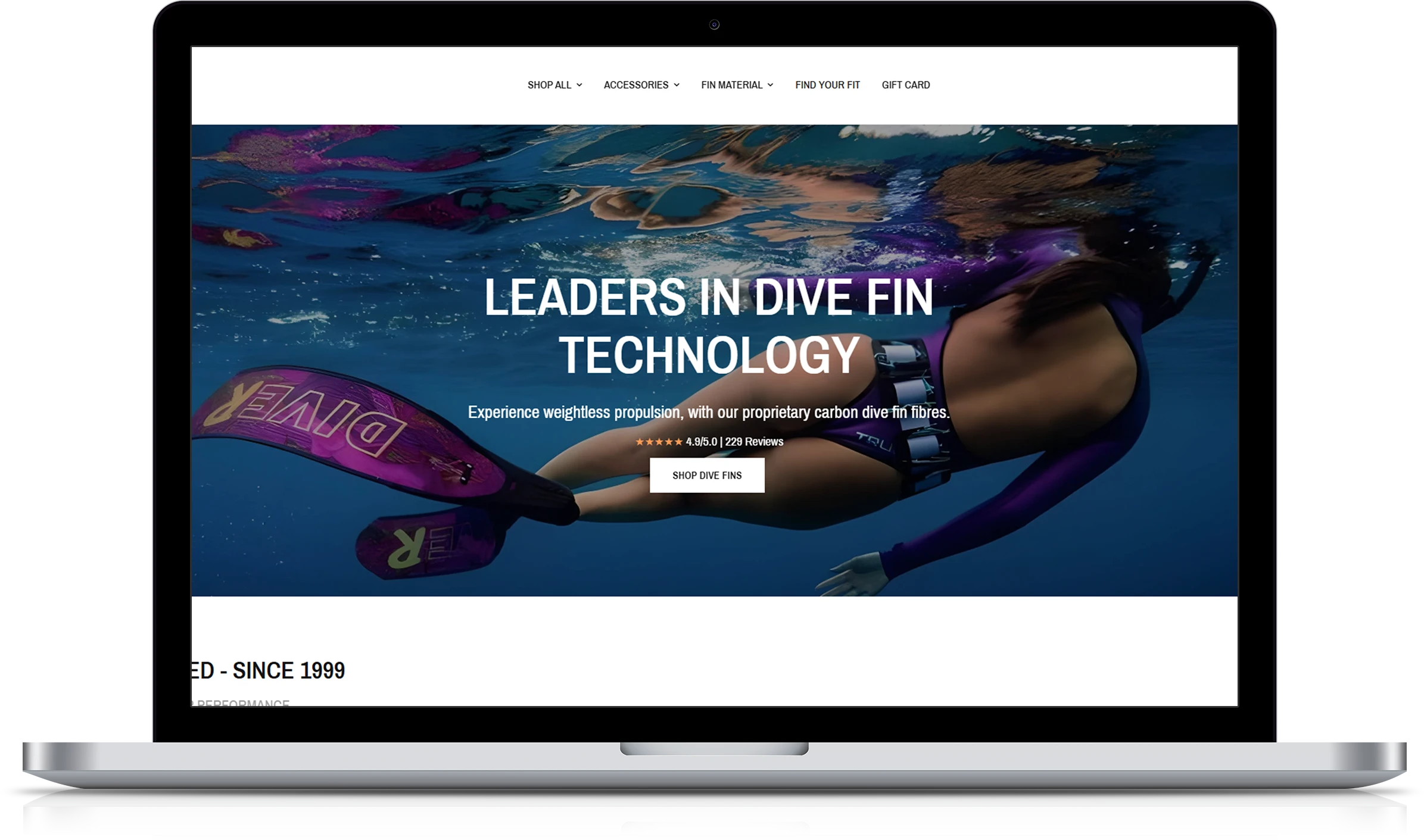 Diver Implementation Screenshot