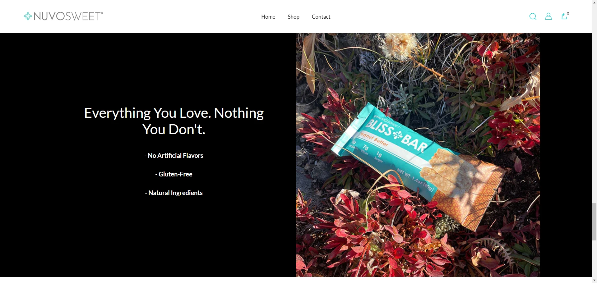 Taste and Bliss Everything You Love section Implementation Screenshot