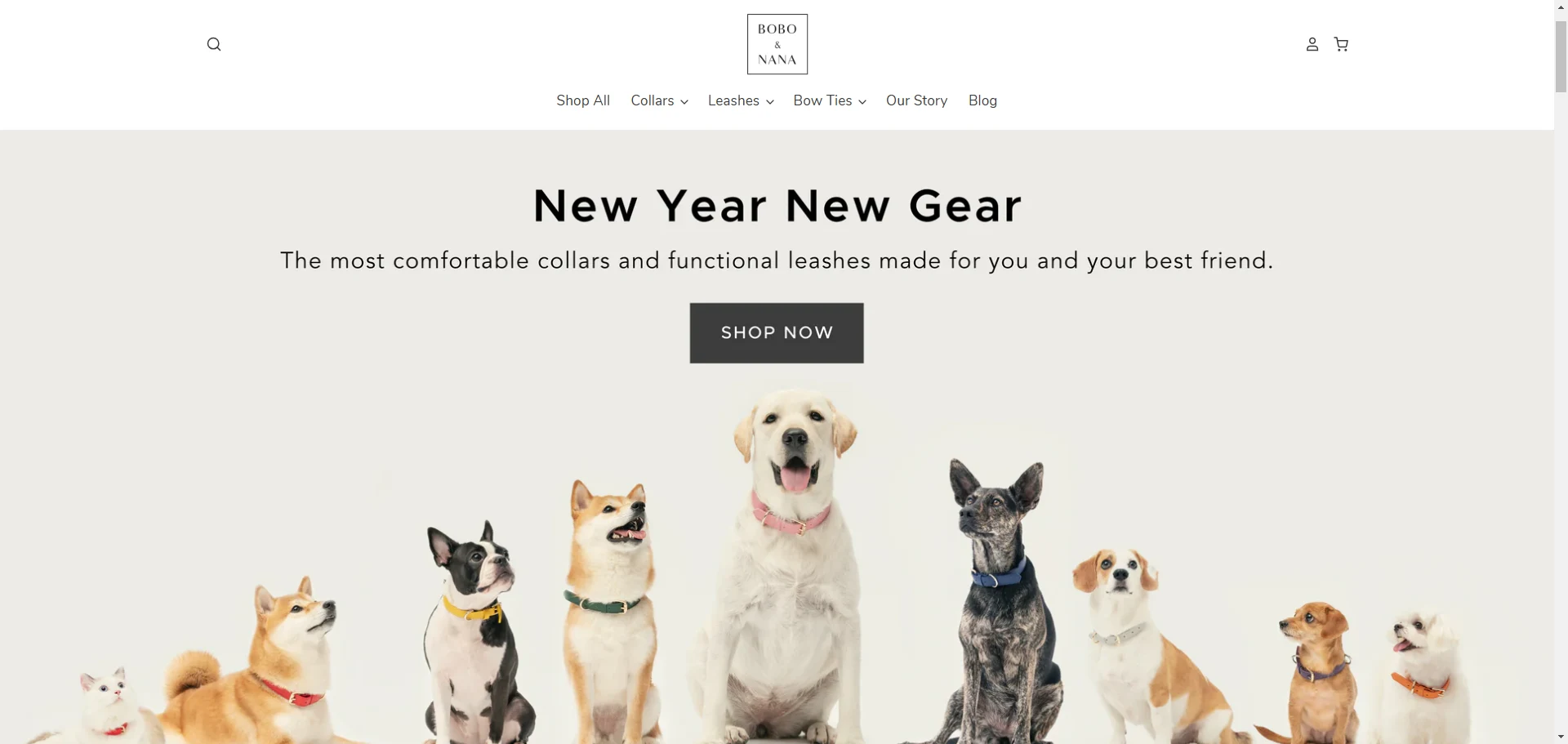 Bobo and Nana HomePage Implementation Screenshot