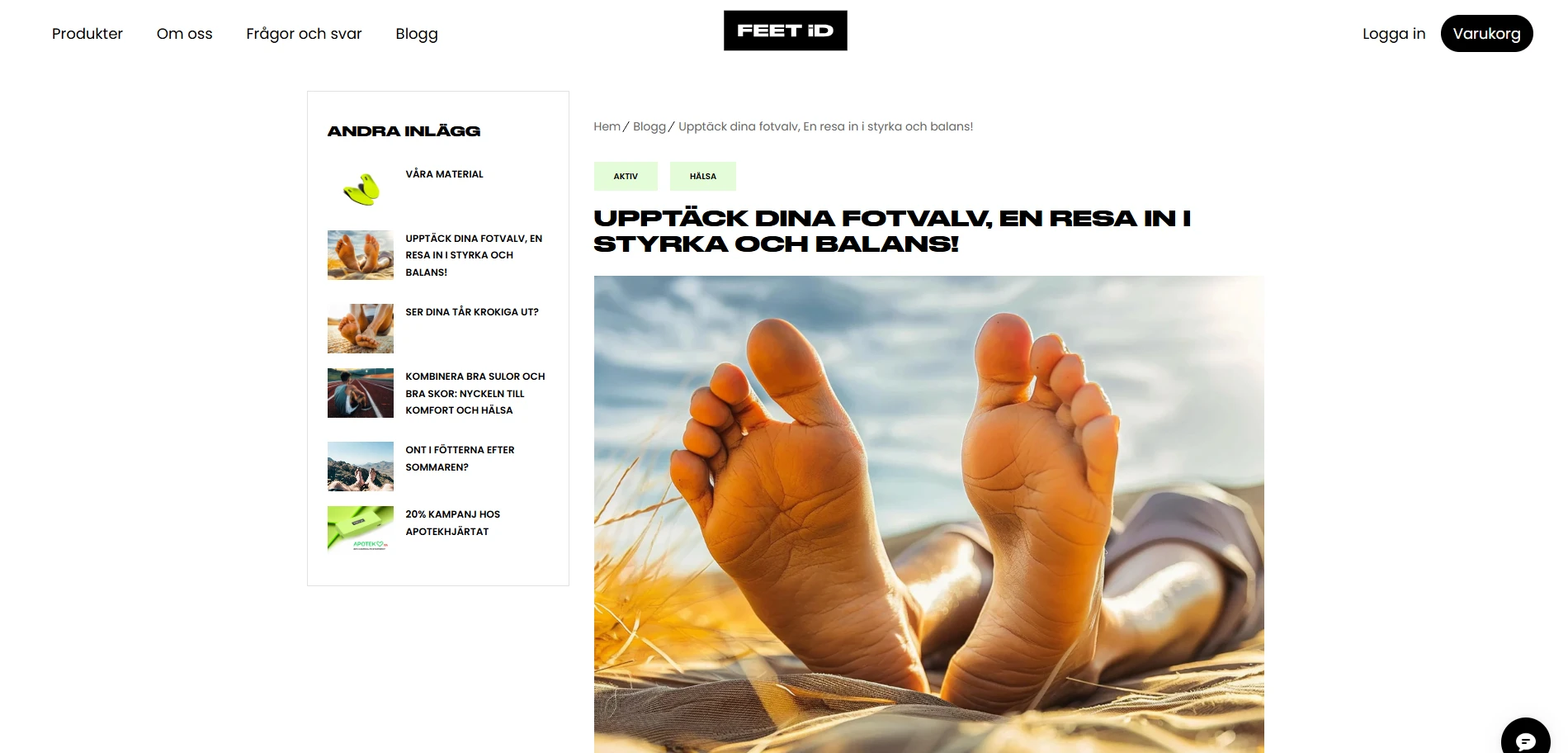 FEET iD single blog Page Implementation Screenshot