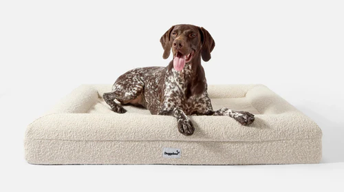 Dreamydog Homepage Dog-sitting Implementation Screenshot