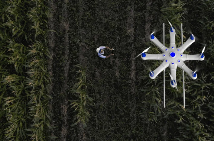 Verde AgriTech wordpress Store Case Study