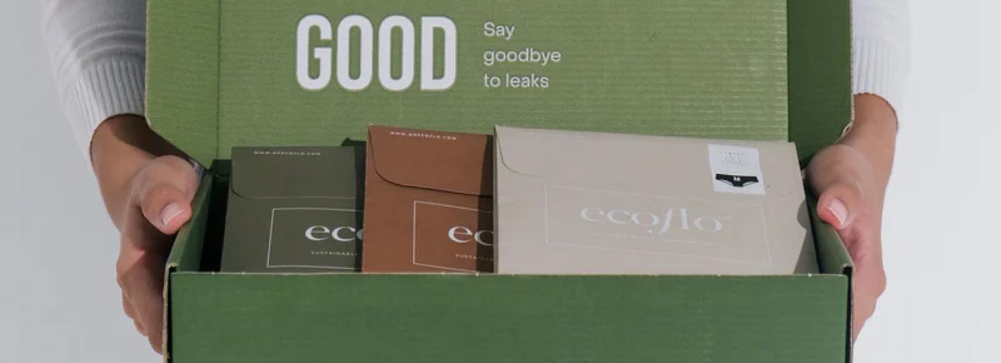 EcoFlow Consumer Products, E-commerce, Sustainable Technology, Water Conservation case study